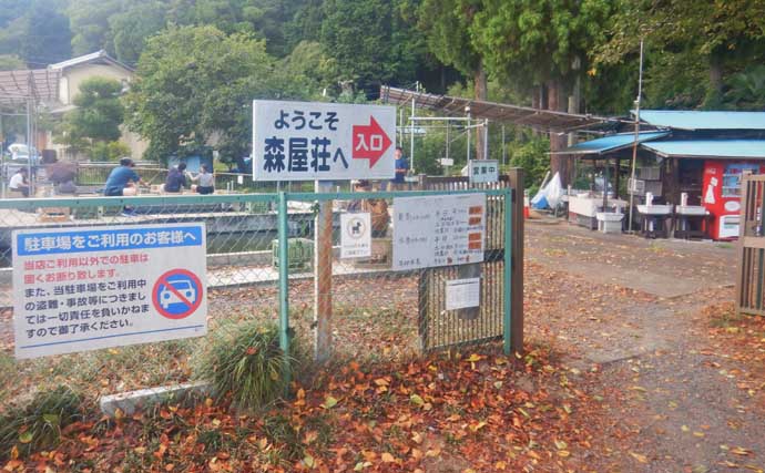 『森屋荘』でのキンギョ釣りで23尾キャッチ【東京・八王子】見釣りは意外とテクニカル？