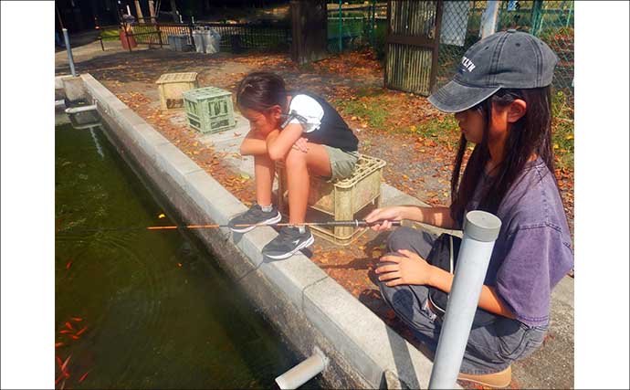 『森屋荘』でのキンギョ釣りで23尾キャッチ【東京・八王子】見釣りは意外とテクニカル？