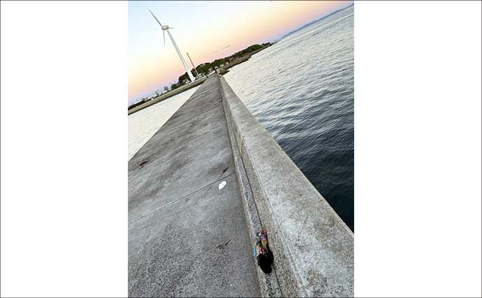 【完全初心者＆ファミリー向け解説】天草エリアでエギング入門のススメ（熊本）