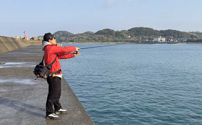 【完全初心者＆ファミリー向け解説】天草エリアでエギング入門のススメ（熊本）