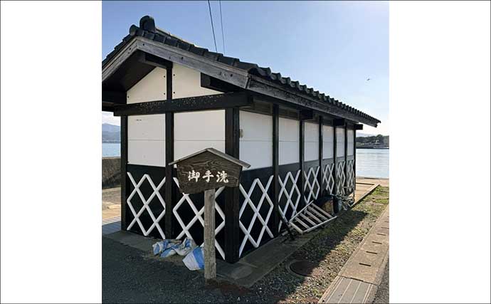 【完全初心者＆ファミリー向け解説】天草エリアでエギング入門のススメ（熊本）