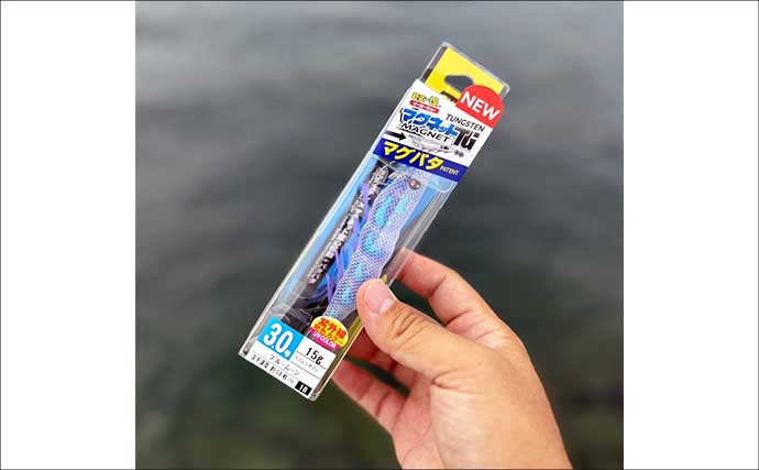 【完全初心者＆ファミリー向け解説】天草エリアでエギング入門のススメ（熊本）