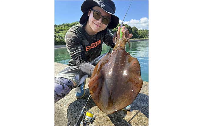 【完全初心者＆ファミリー向け解説】天草エリアでエギング入門のススメ（熊本）