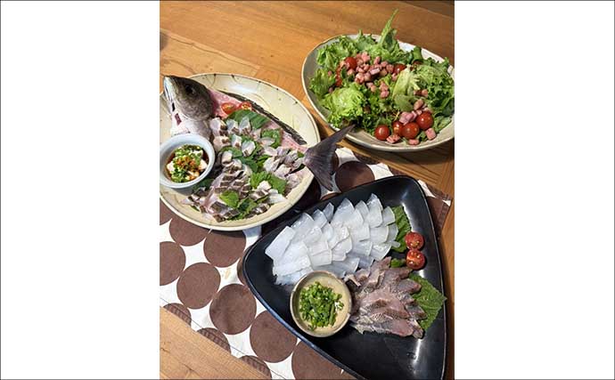 【完全初心者＆ファミリー向け解説】天草エリアでエギング入門のススメ（熊本）