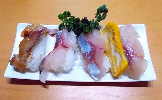 ボートでのチョクリ釣りで45cm大アジにツバス（ワカシ）をキャッチ【兵庫・明石沖】