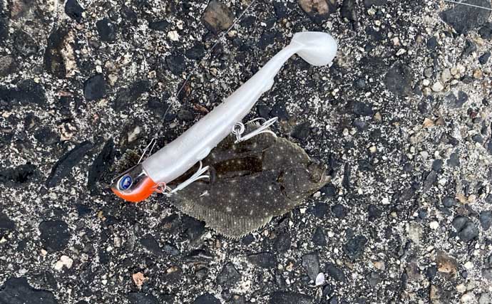 伊勢湾奥サーフのルアーフィッシングでクロダイにマゴチを好捕【三重】河口周辺でヒット！