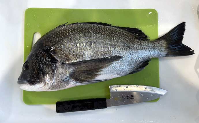 伊勢湾奥サーフのルアーフィッシングでクロダイにマゴチを好捕【三重】河口周辺でヒット！