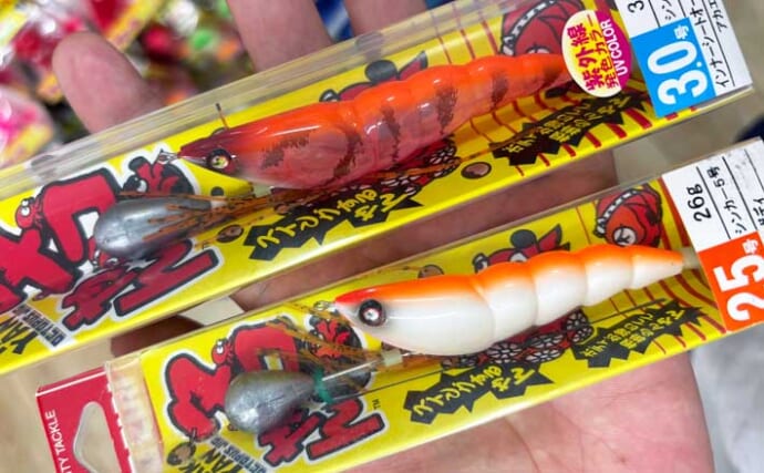 まだまだ暑い大阪湾で釣りを楽しむのに今買うべき釣具とは？　チニングタックルでチヌ＆タコを狙おう