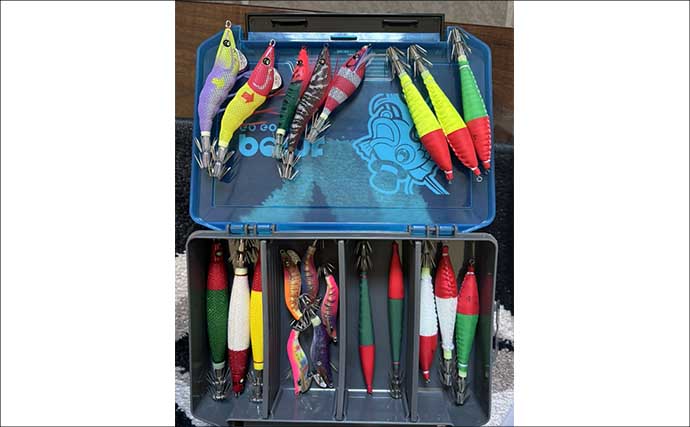 『アジ曽根』での夜焚きイカ釣りでトップ150杯！【熊本・黄龍丸】初挑戦のオモリグでも連発