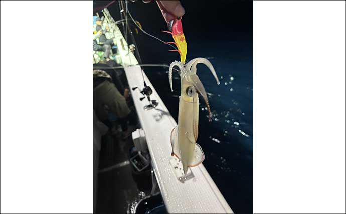 『アジ曽根』での夜焚きイカ釣りでトップ150杯！【熊本・黄龍丸】初挑戦のオモリグでも連発