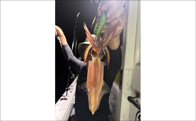 『アジ曽根』での夜焚きイカ釣りでトップ150杯！【熊本・黄龍丸】初挑戦のオモリグでも連発