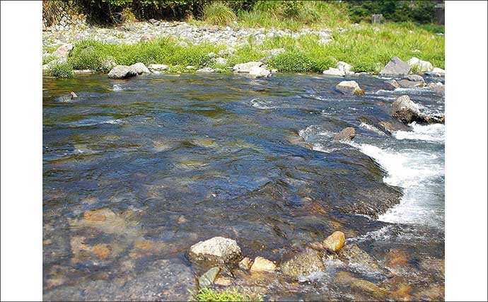 千代川での鮎ルアー釣りで22cm良型頭に鮎6匹キャッチ【鳥取】巻かずにルアーを見せつけるのが肝