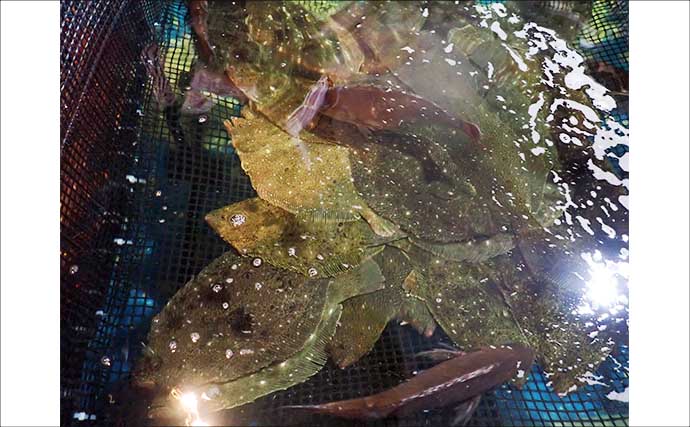 「受験勉強の息抜きに釣り？」釣り居酒屋『ざうお』でマダイ・ヒラメ・アジをキャッチ【埼玉】