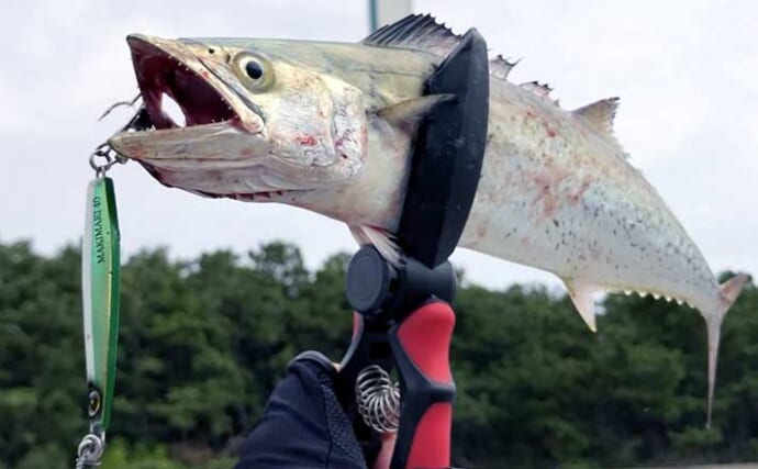『大阪南港魚つり園』のショアジギングでサバ連発　青物開幕は9月下旬か