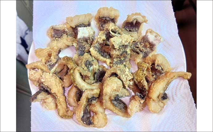 紀伊半島で幻の魚『クエ』を釣る！ルアーで居場所を探りエサで釣るも一筋縄ではいかず