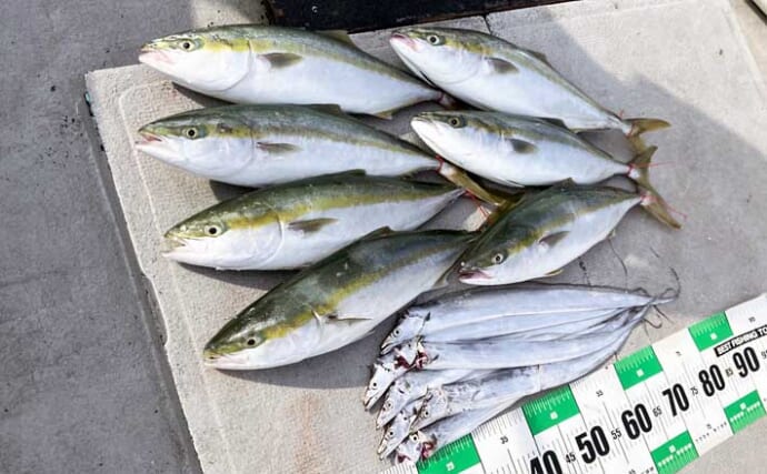 青物ジギング＆タチウオのリレー便で両本命の数釣りを達成！【和歌山・MCL】