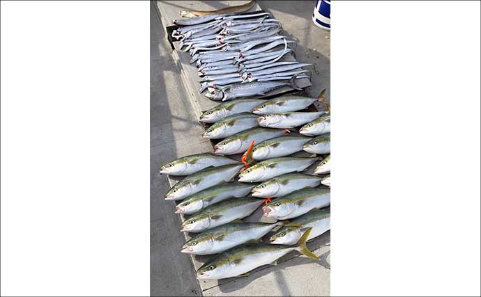 青物ジギング＆タチウオのリレー便で両本命の数釣りを達成！【和歌山・MCL】