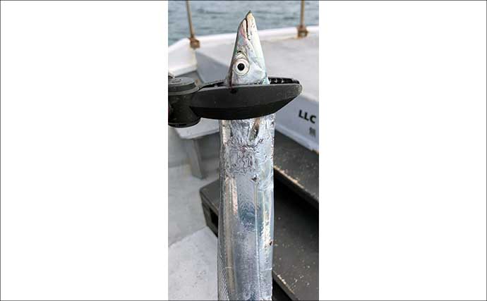 青物ジギング＆タチウオのリレー便で両本命の数釣りを達成！【和歌山・MCL】