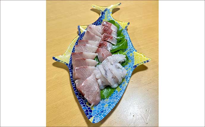 青物ジギング＆タチウオのリレー便で両本命の数釣りを達成！【和歌山・MCL】