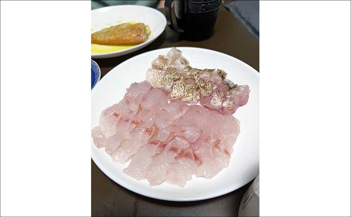 和歌山湾のシロアマダイ釣りで42cm頭に本命連打！【釣船のんちゃん】イソメに好反応