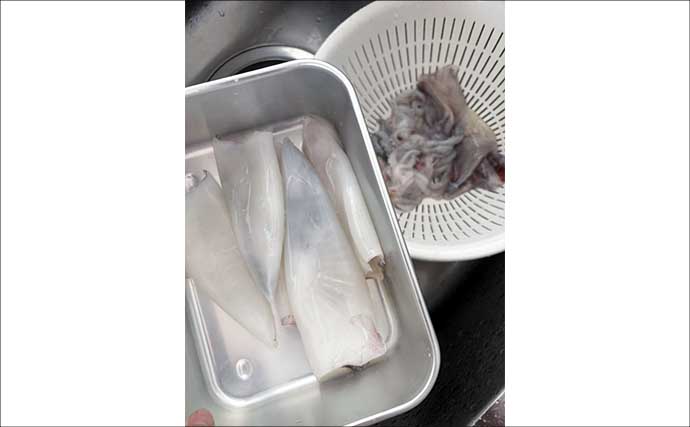 釣ったアカイカ（ケンサキ）で作る「バジル風味イカメシ」レシピ　和とイタリアンの融合？