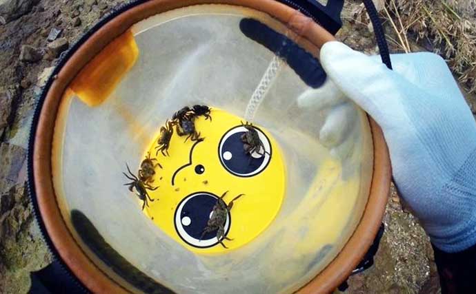 ルアーロッドで堤防ヘチ釣り（落とし込み）してみた　45cm頭にチヌ3尾キャッチ成功