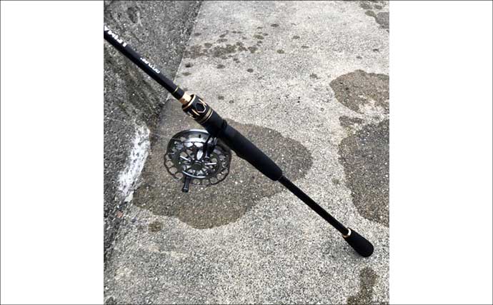 ルアーロッドで堤防ヘチ釣り（落とし込み）してみた　45cm頭にチヌ3尾キャッチ成功