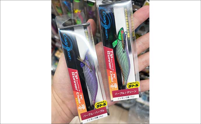 間も無く始まる「初秋の釣り」の準備をしよう　イカとタチウオが最優先か