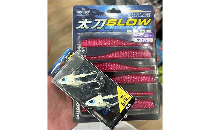 間も無く始まる「初秋の釣り」の準備をしよう　イカとタチウオが最優先か