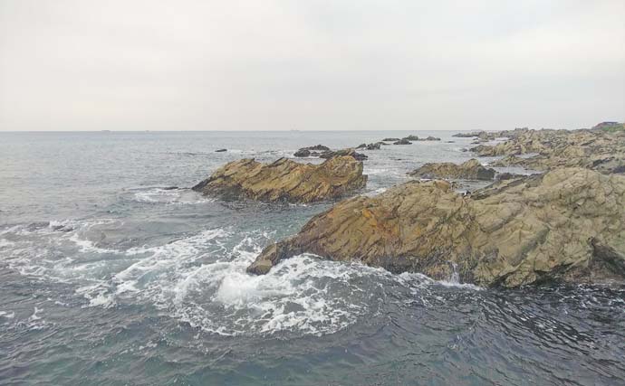 平砂浦のウキフカセ釣りでイサキ11尾＆メジナ7尾手中【千葉】遠投＆足下コマセ戦術が奏功