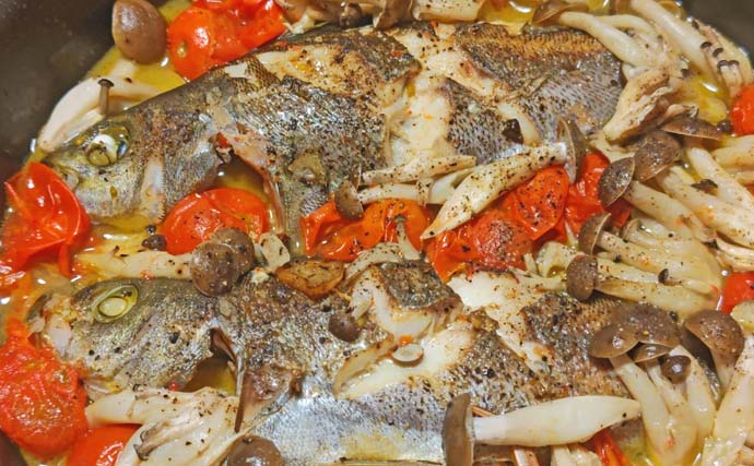 平砂浦のウキフカセ釣りでイサキ11尾＆メジナ7尾手中【千葉】遠投＆足下コマセ戦術が奏功