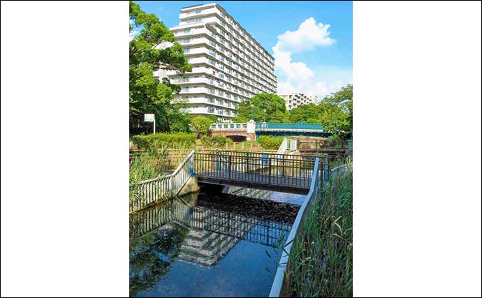 「都会のオアシスで釣りを満喫」仙台堀川公園のハゼ釣りで57尾をキャッチ【東京】