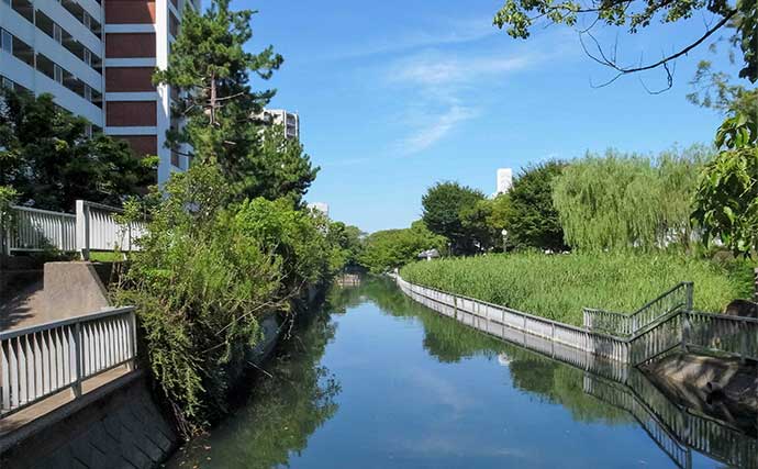 「都会のオアシスで釣りを満喫」仙台堀川公園のハゼ釣りで57尾をキャッチ【東京】