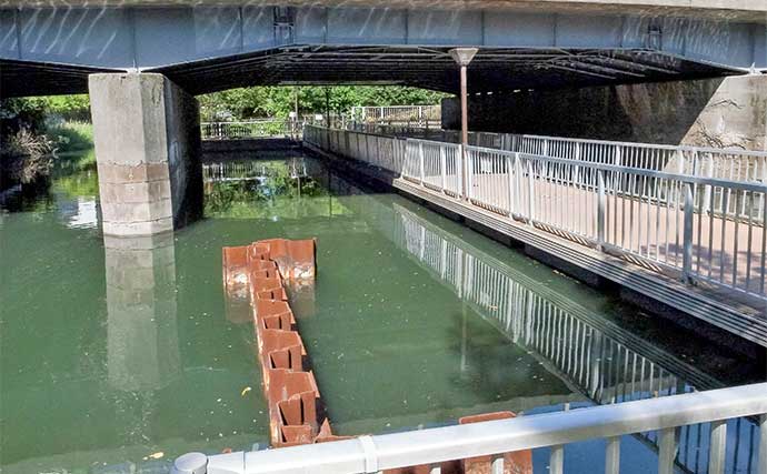 「都会のオアシスで釣りを満喫」仙台堀川公園のハゼ釣りで57尾をキャッチ【東京】
