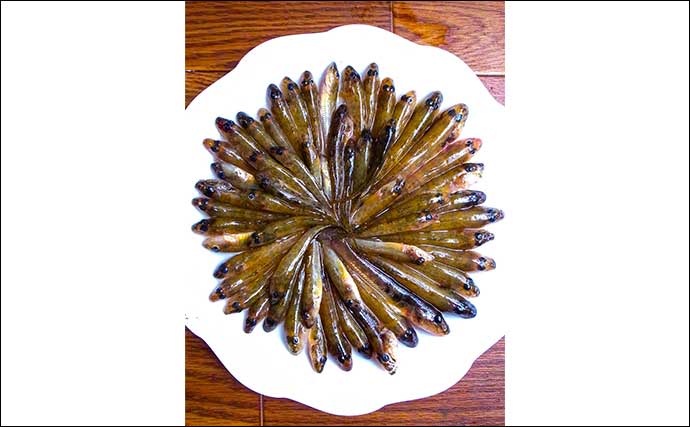 「都会のオアシスで釣りを満喫」仙台堀川公園のハゼ釣りで57尾をキャッチ【東京】