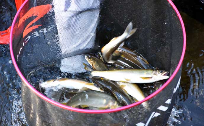 「尺サイズも夢じゃない！」大アユ釣りテクニック完全解説【河川・タックル・取り込み】