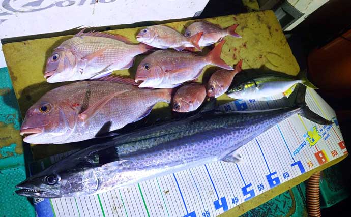 【沖釣りルアー釣果速報】30kg級メバチマグロがドーン！志摩沖キャスティング＆エビングで豪快ヒット（三重）