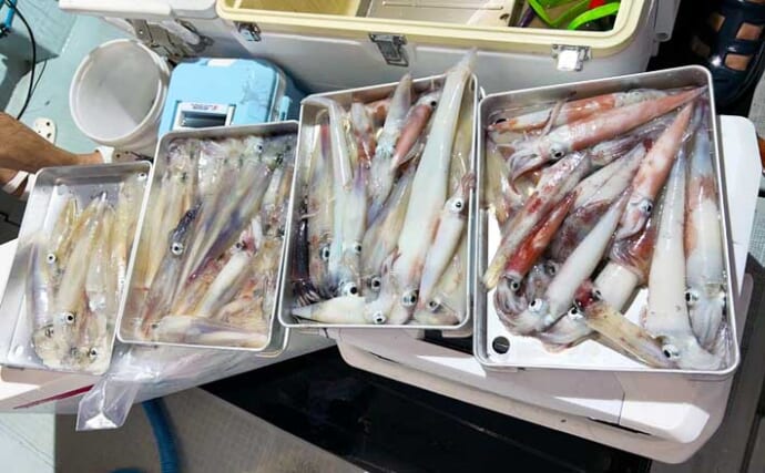【沖釣り釣果速報】鷹巣沖マイカ狙いのイカメタルゲームで船中トップ54匹！（福井）