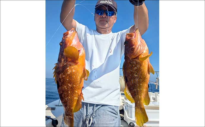 【沖釣り釣果速報】鷹巣沖マイカ狙いのイカメタルゲームで船中トップ54匹！（福井）