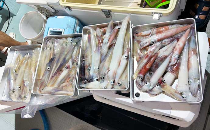 【沖釣り釣果速報】鷹巣沖マイカ狙いのイカメタルゲームで船中トップ54匹！（福井）