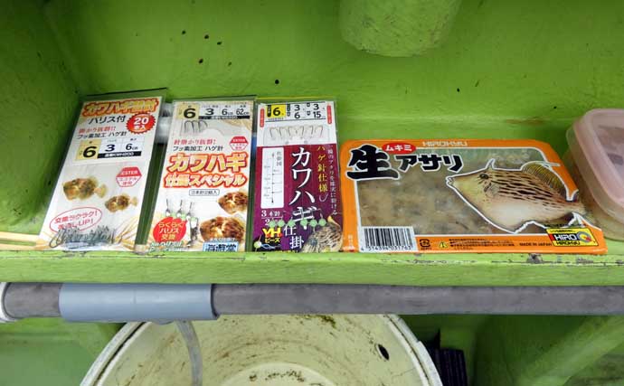 秋冬の関東エリア船カワハギ釣り完全攻略　タックル・エサ・ゼロテンションの極意