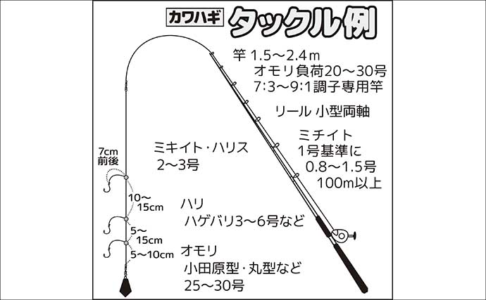 秋冬の関東エリア船カワハギ釣り完全攻略　タックル・エサ・ゼロテンションの極意
