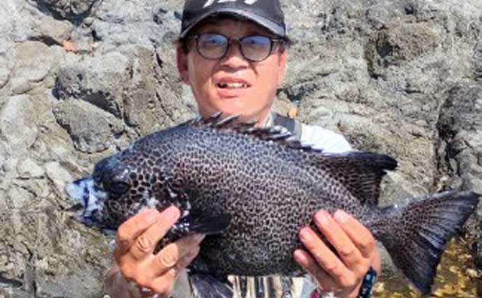 「50cm超クチジロ級も登場！」地磯の石物釣りでイシガキダイ連発【静岡】半割ウニ＆エビ作戦が奏功