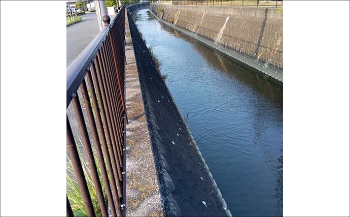 平作川のウナギ釣りで良型ウナギ2尾を手中【神奈川】エサの太ミミズが奏功