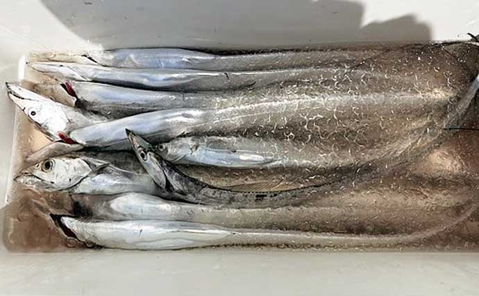 【沖釣り釣果速報】大分沖の夜焚きイカ船でケンサキイカ100尾超えの釣り人続出！（大分・熊本）