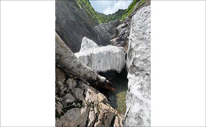 大鳥池の伝説の巨大魚『タキタロウ』を釣る【山形】スーパーボール仕掛けに大物がヒット！