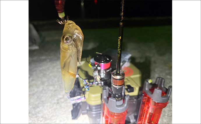 「アジングタックルは万能？」ワンタックルでのアジング＆ヒイカエギングが手軽で面白い