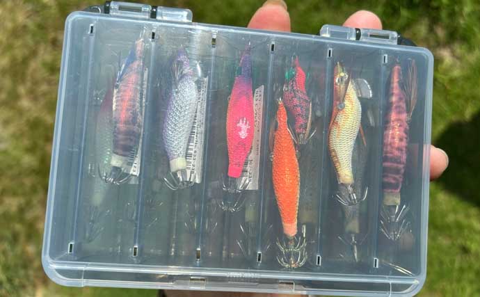 「アジングタックルは万能？」ワンタックルでのアジング＆ヒイカエギングが手軽で面白い