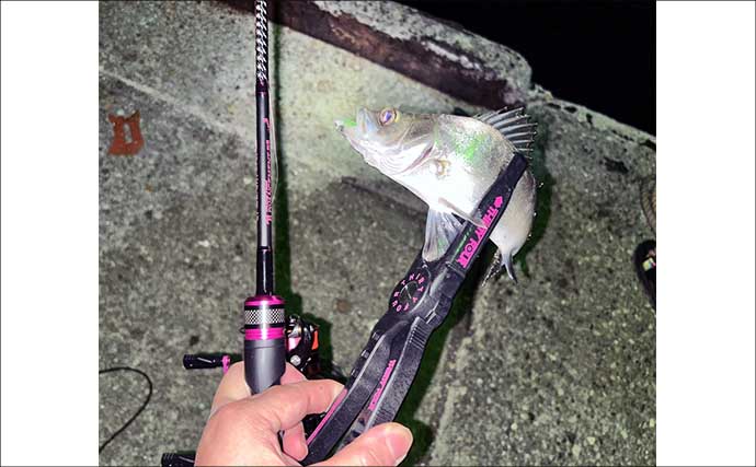 「アジングタックルは万能？」ワンタックルでのアジング＆ヒイカエギングが手軽で面白い