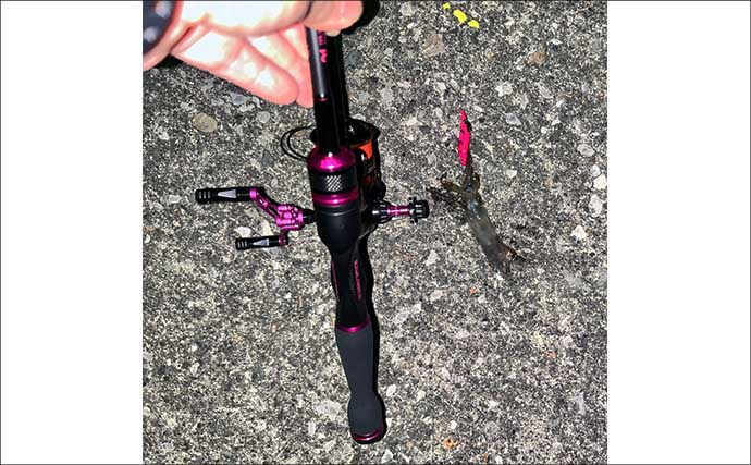 「アジングタックルは万能？」ワンタックルでのアジング＆ヒイカエギングが手軽で面白い